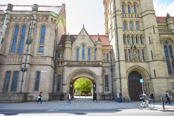 Manchester MiM Essays